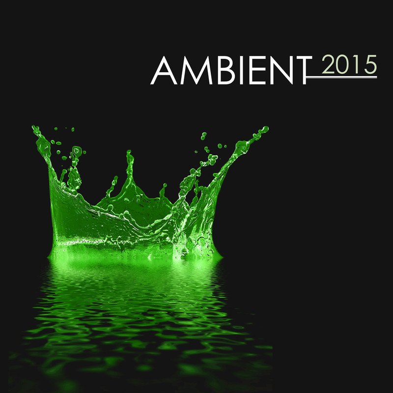 AmbientSoundsofNature(SeaGrotto)封面