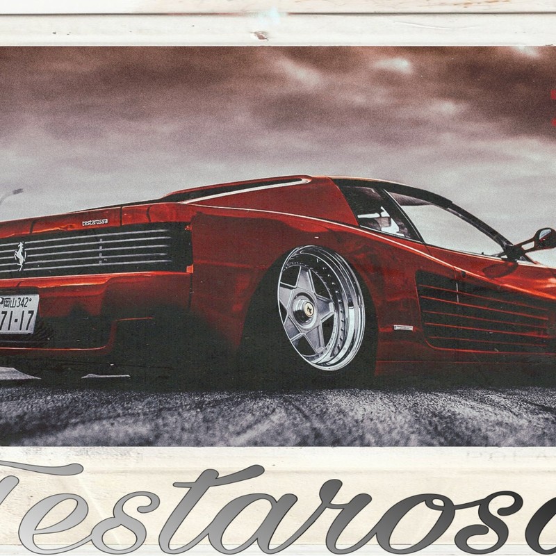 TESTAROSA封面