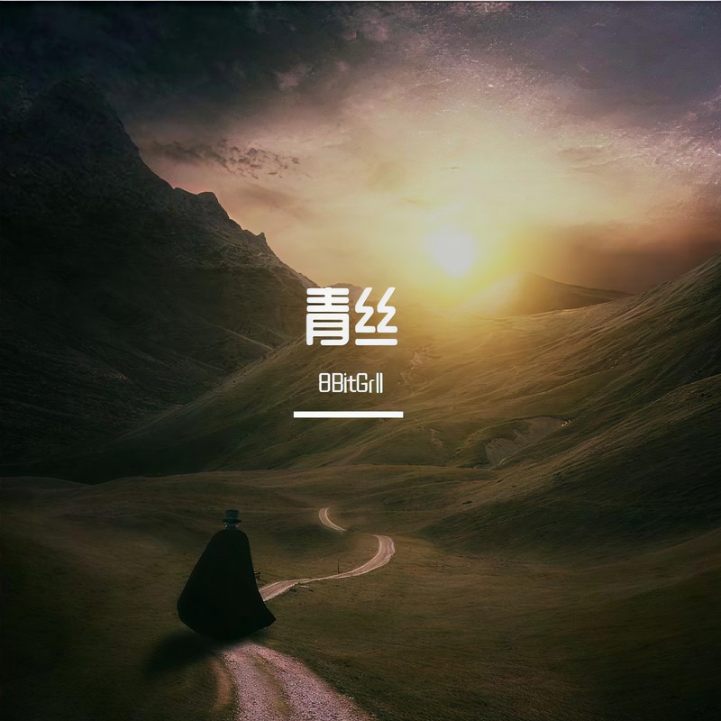 青丝11封面
