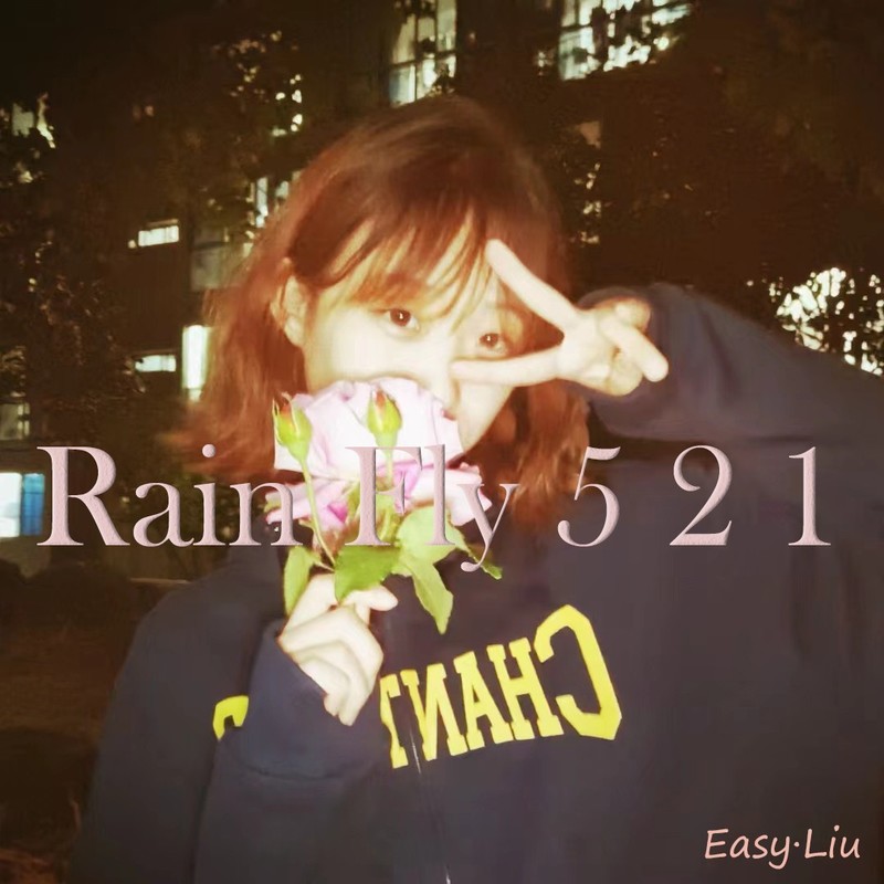 RainFly521封面
