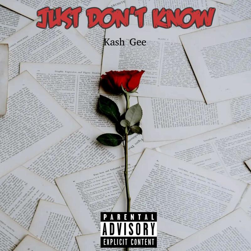 JustDon'tKnow封面