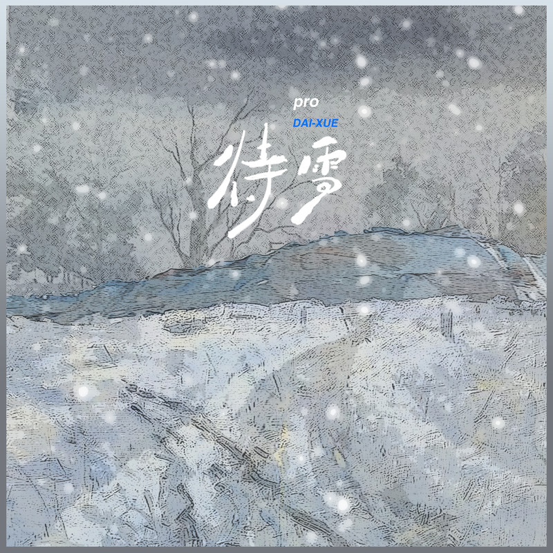 待雪封面