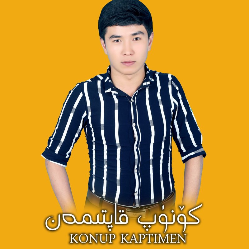 BeshPede封面