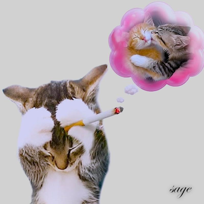 AFFECTION封面