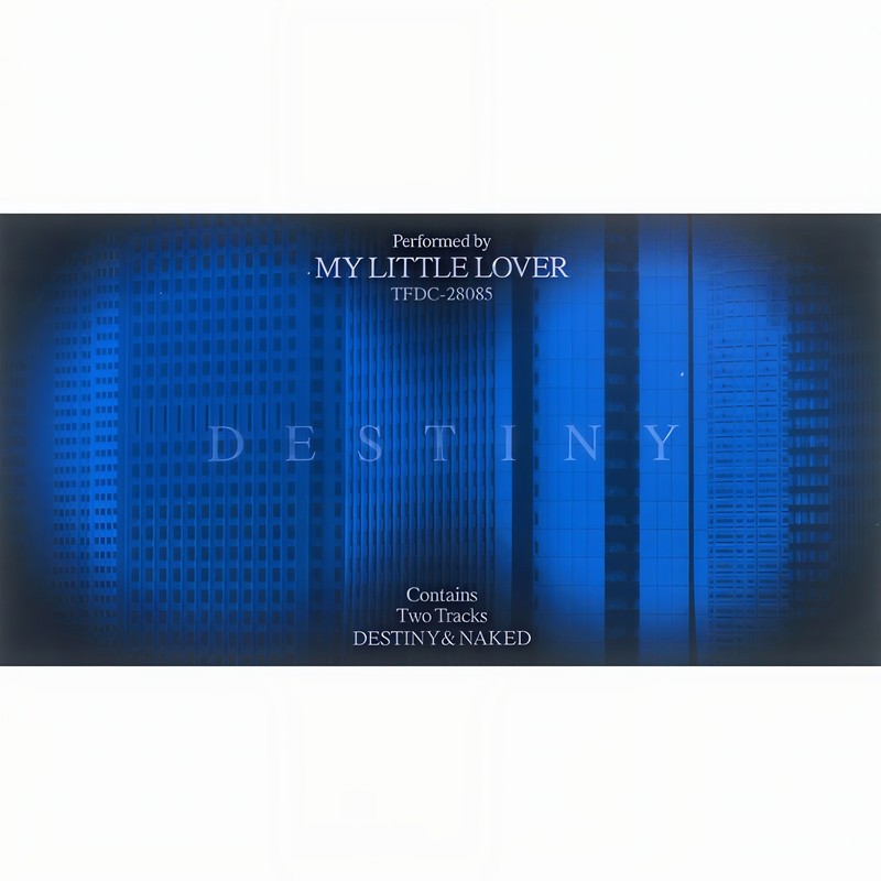 DESTINY封面