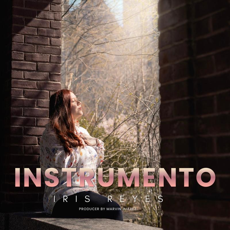 Instrumento封面