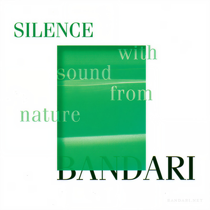 TheSoundsofSilence封面