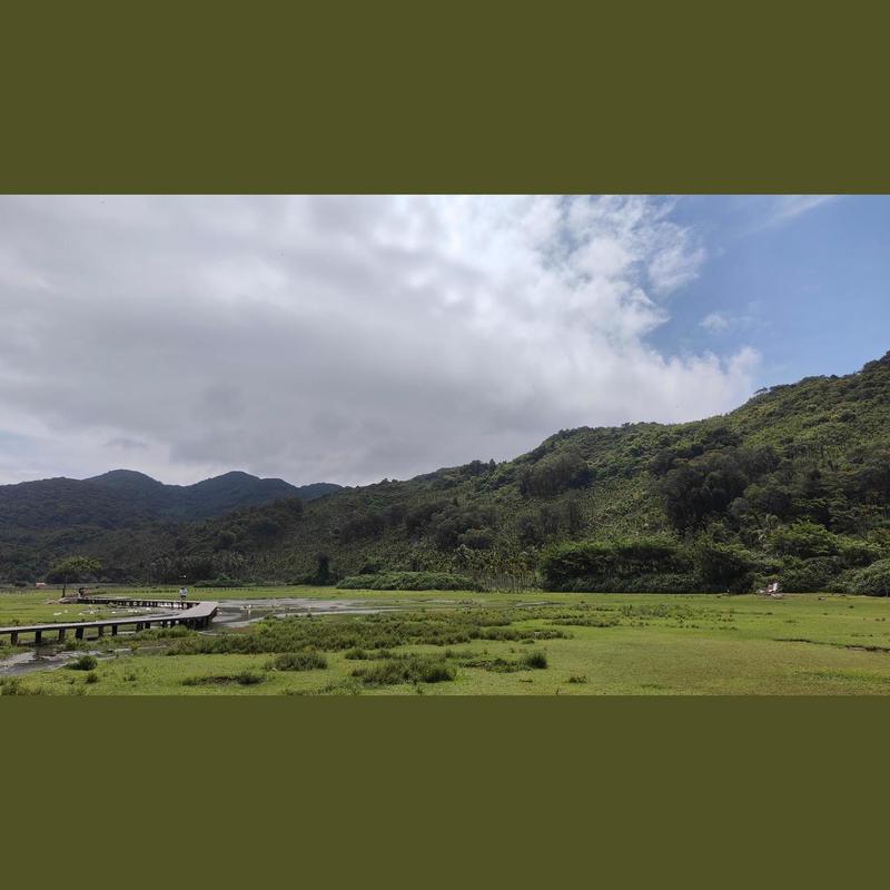 节奏之春封面