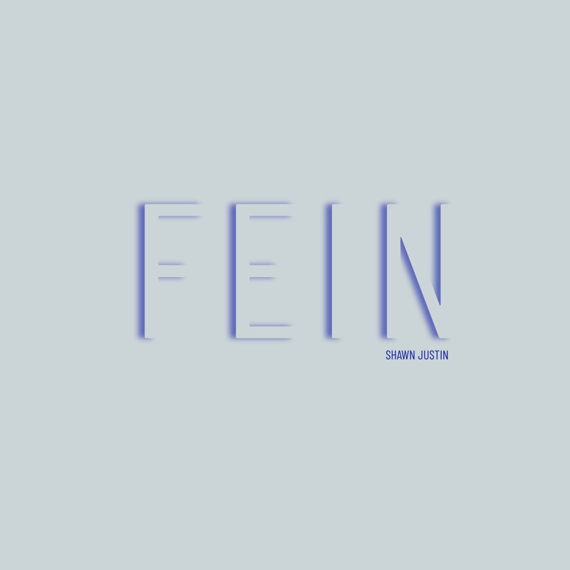 FEIN(Explicit)封面