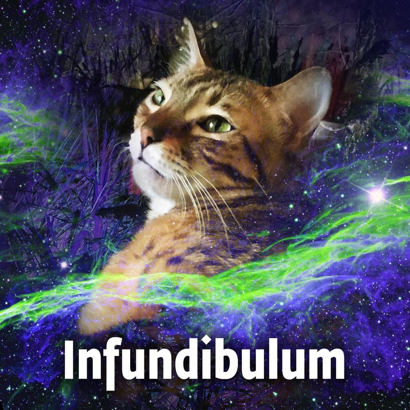 Infundibulum封面
