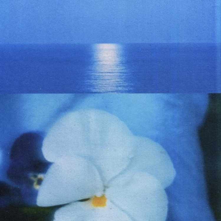 深海之息封面