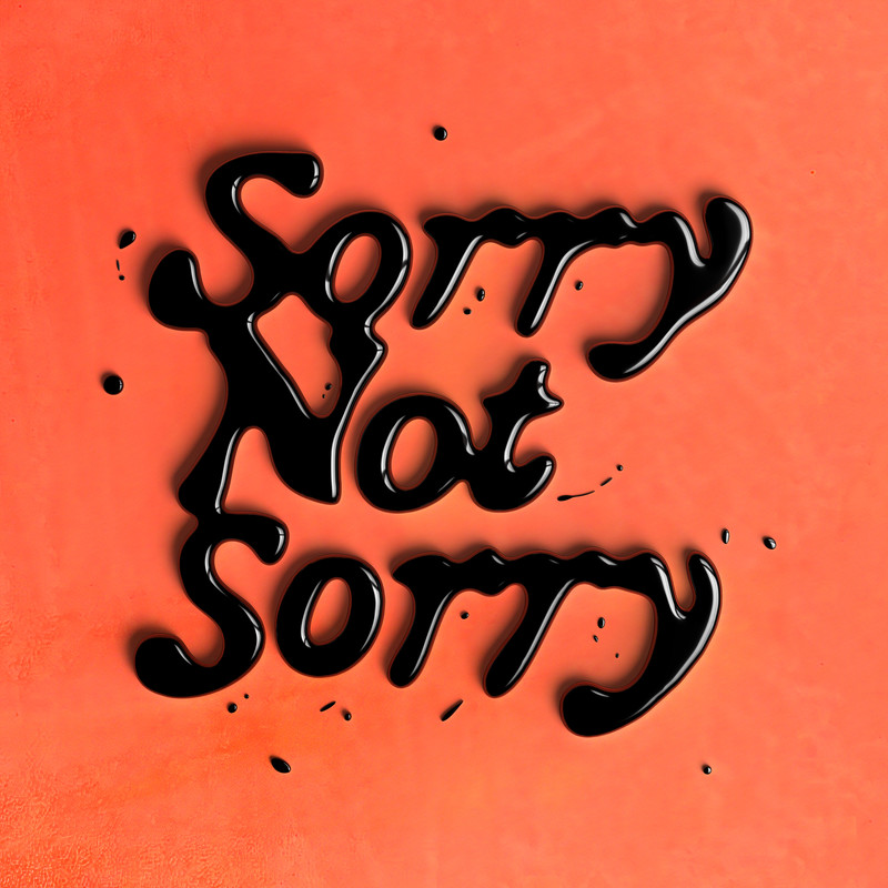 SorryNotSorry封面