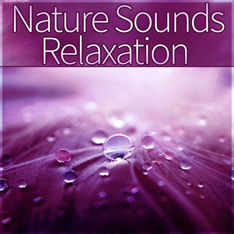 NatureSoundsRelaxation封面