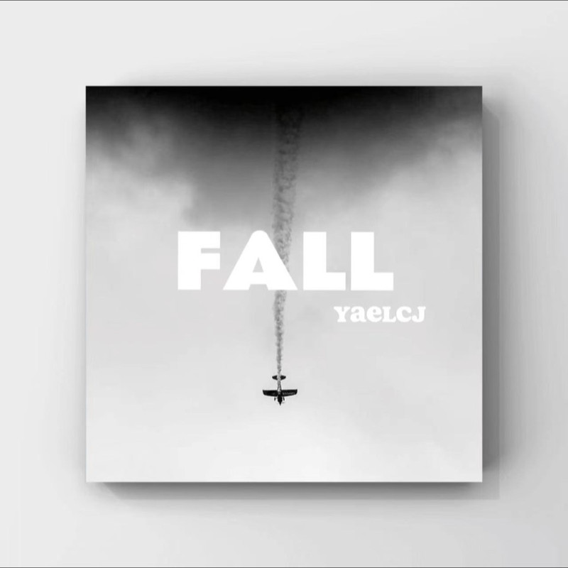 Fall封面