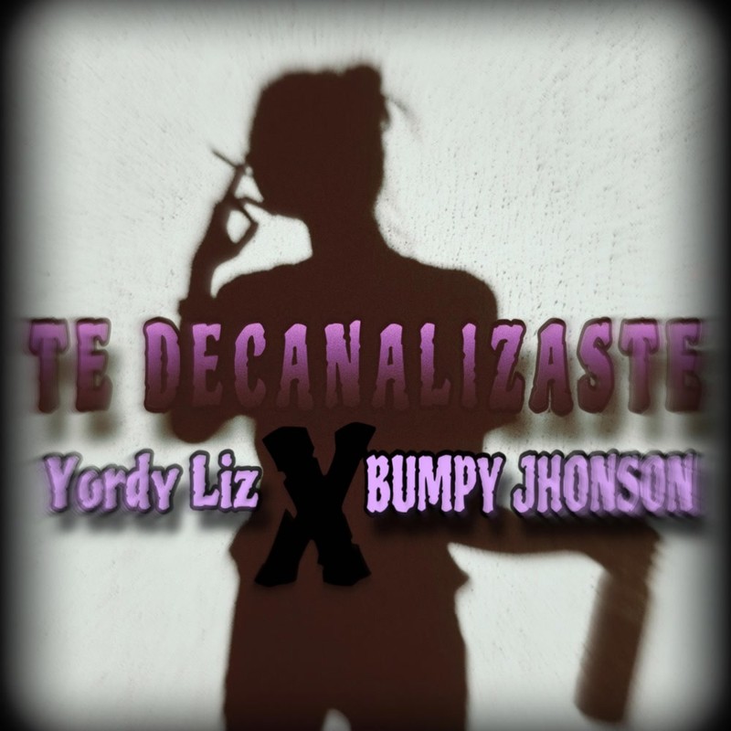 TEDECANALIZASTE封面