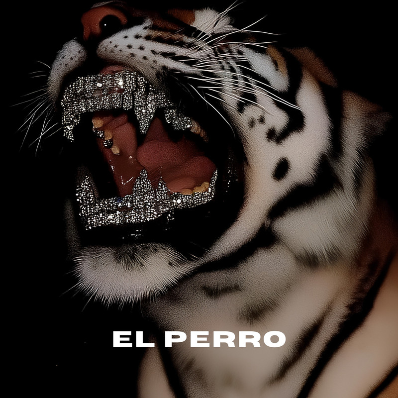 ELPERRO封面
