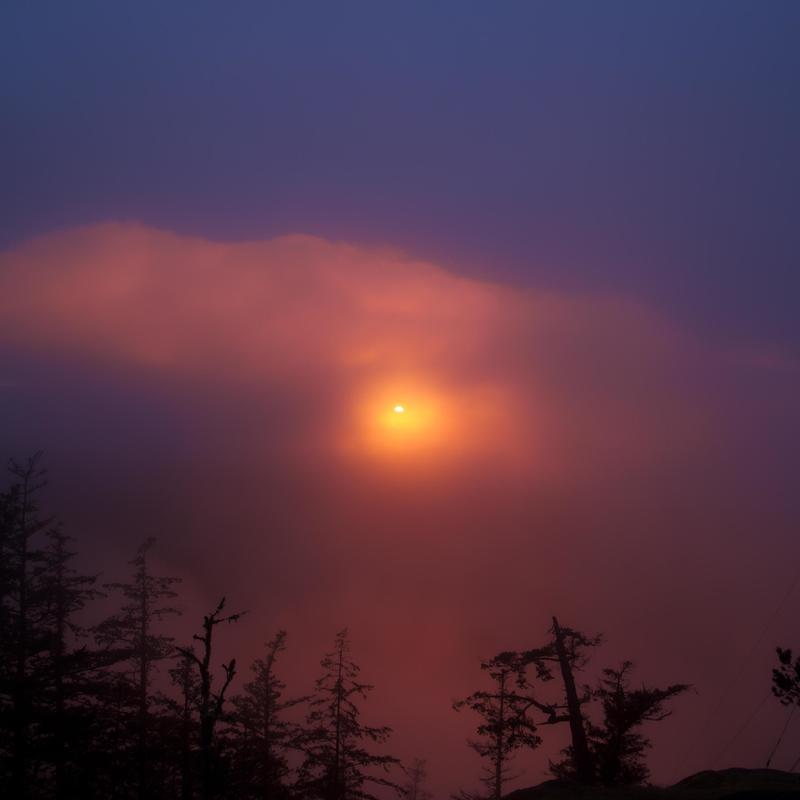 SunsetFog封面