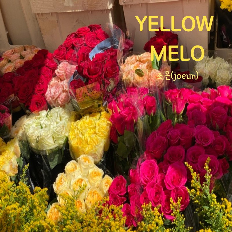 YELLOWMELO封面