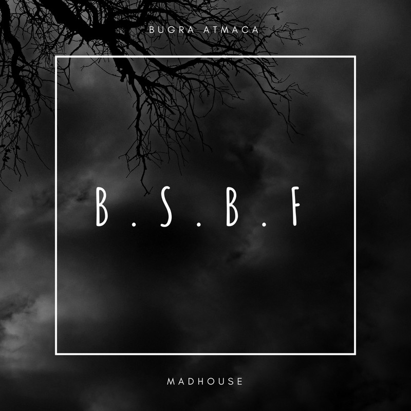 B.S.B.F封面