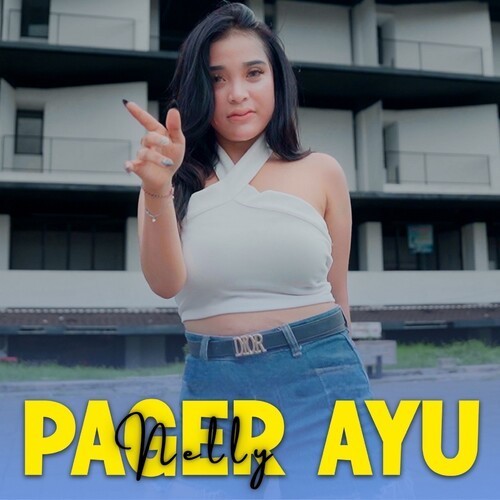 PagerAyu封面