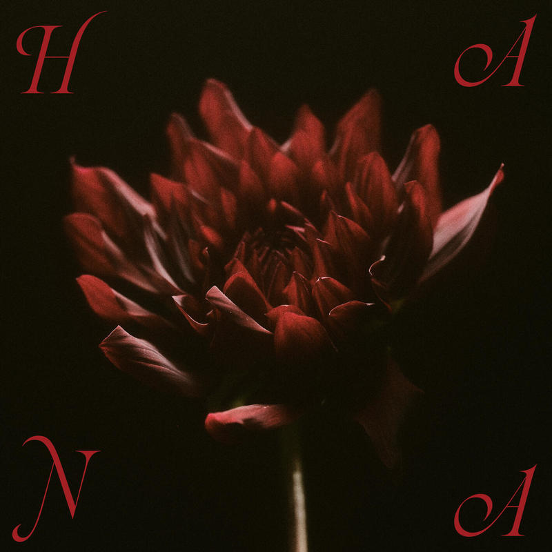 Bloom封面