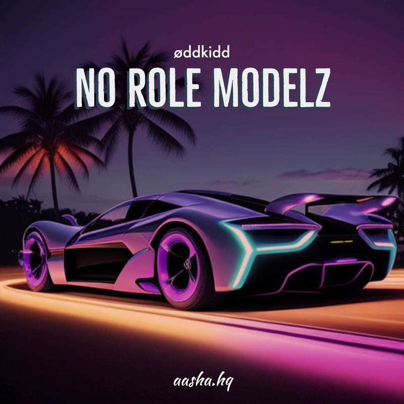 NoRoleModelz封面