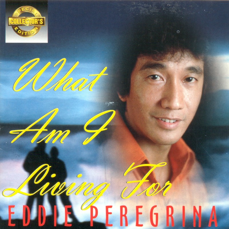 WhatAmILivingFor封面