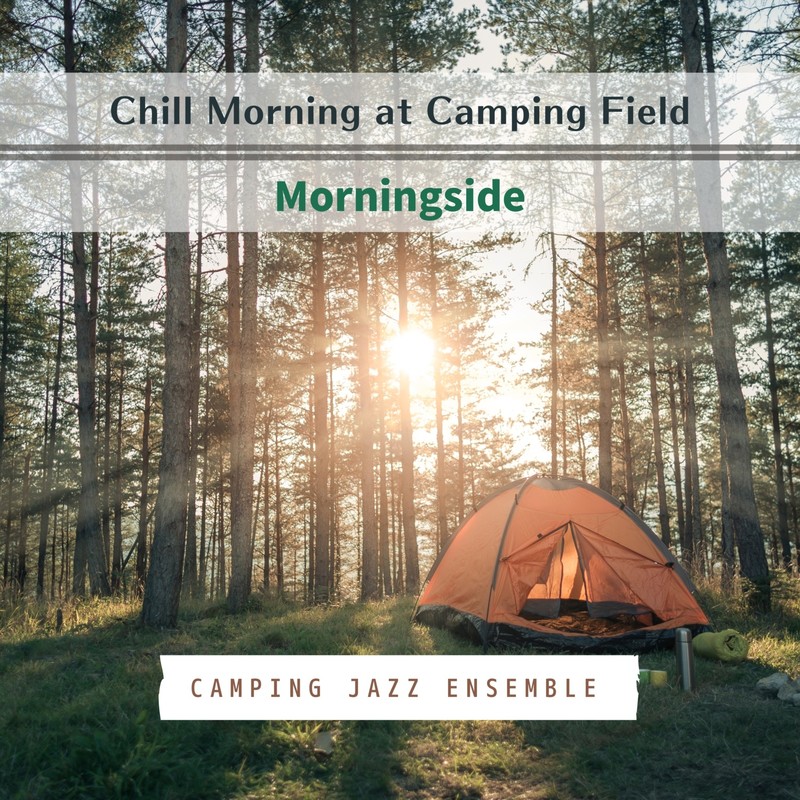 IntheMorningLight封面