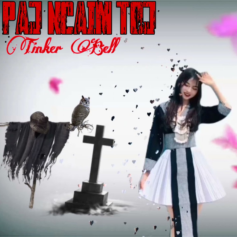 Pajncaimtoj封面