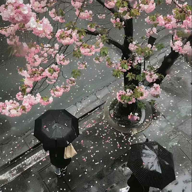 反转进行曲+吕布封面