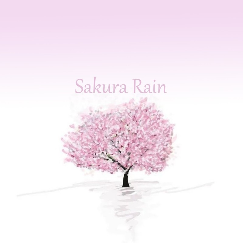 SakuraRain封面