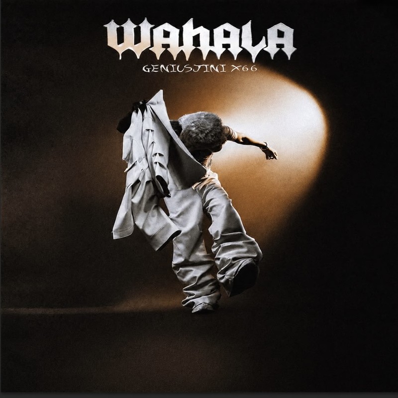 Wahala封面