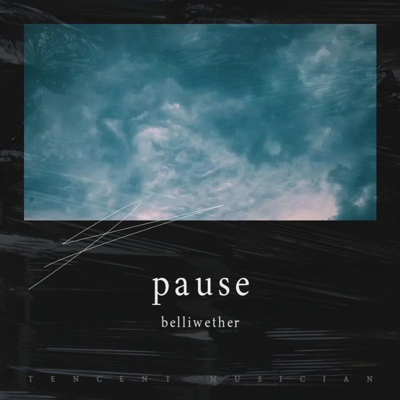 pause封面