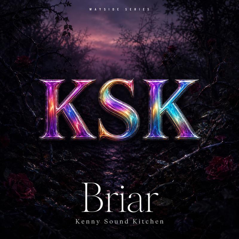 Briar封面