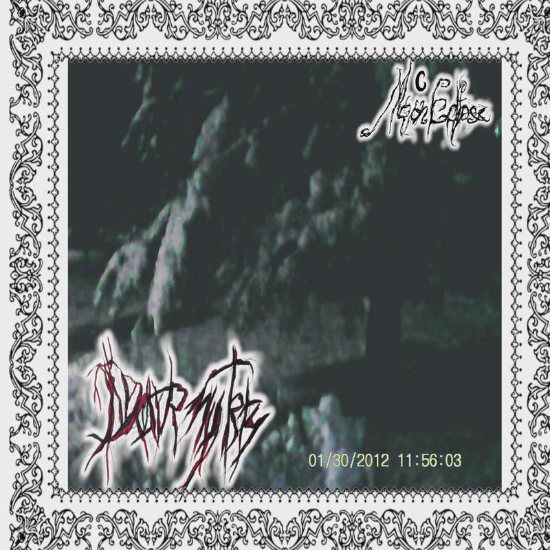 Fallingintothedepthsoftheabyss封面