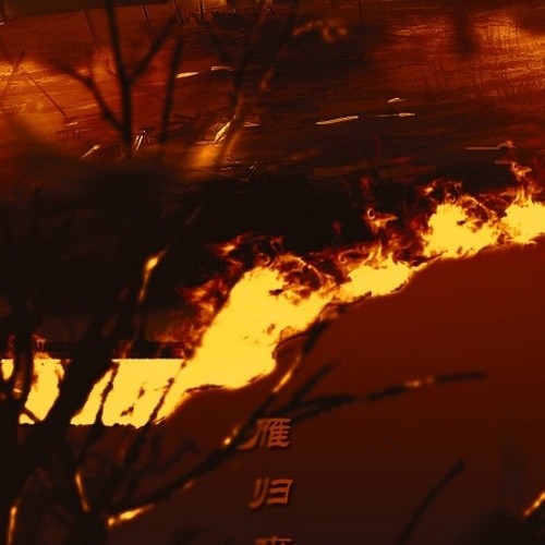 雁归来封面