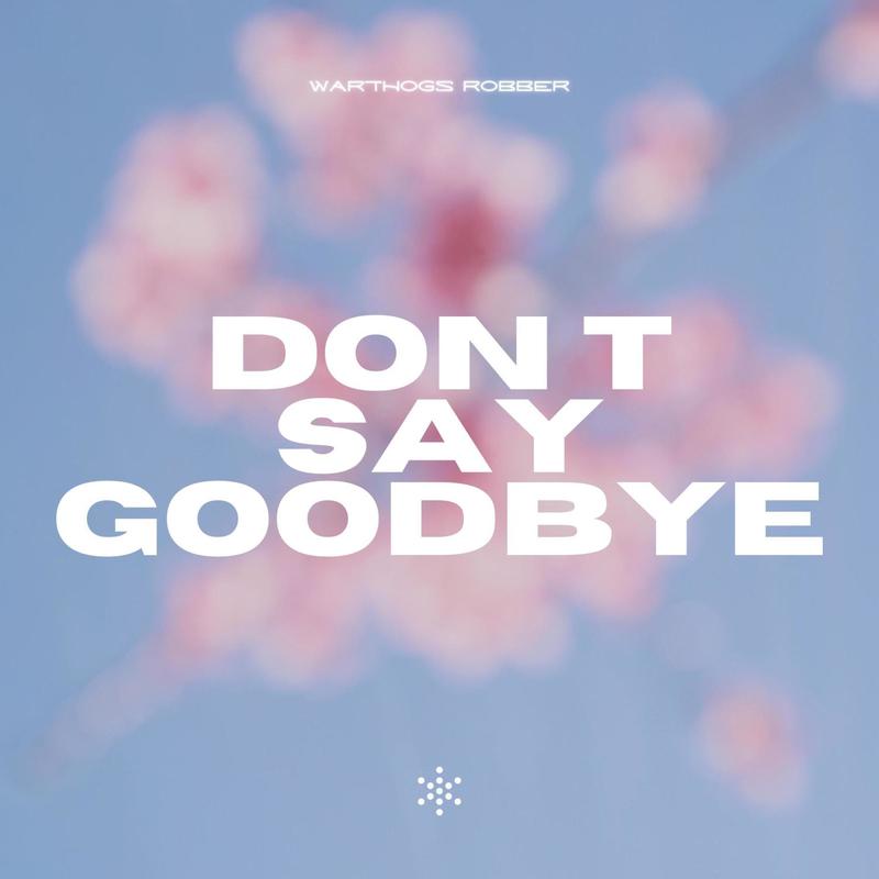 DontSayGoodbye封面