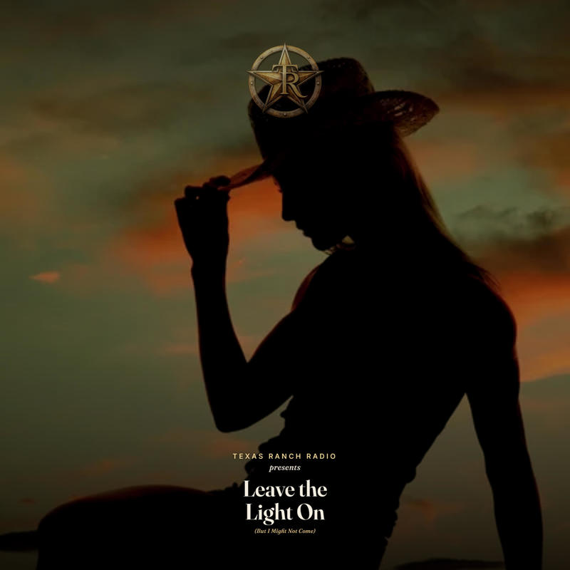 LeavetheLightOn(ButIMightNotCome)封面