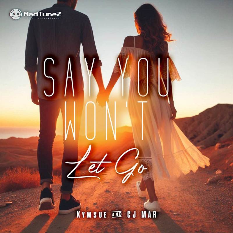 SayYouWon'tLetGo封面