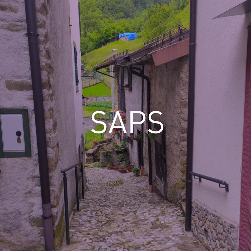 SAPS封面