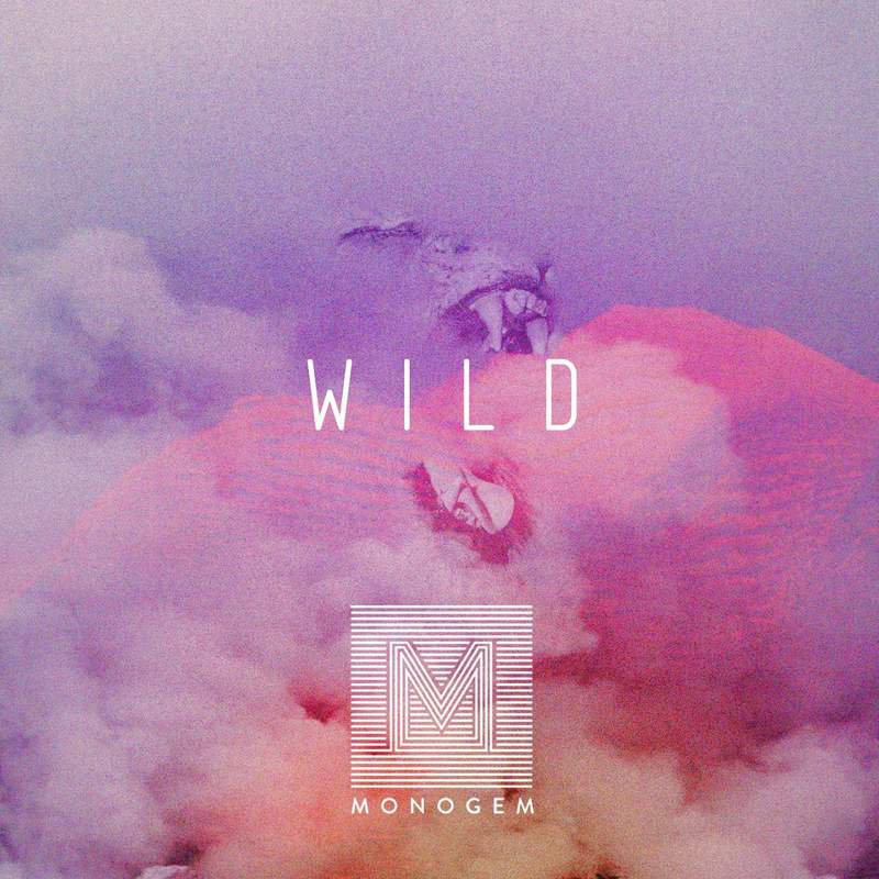 Wild封面