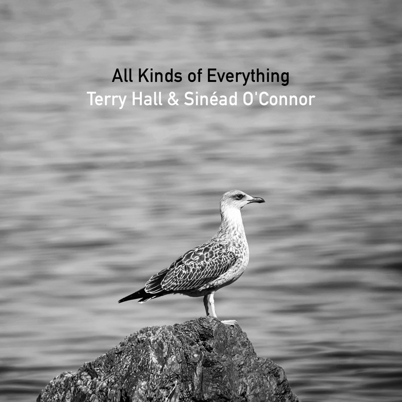 AllKindsofEverything封面