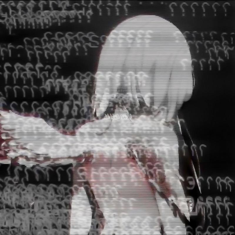 netsuffering封面
