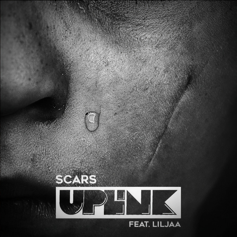 Scars封面