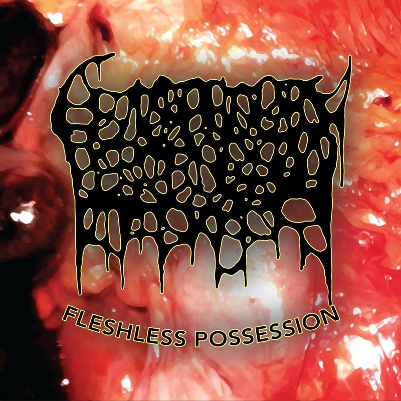 FleshlessPossessionofyourCorpse封面