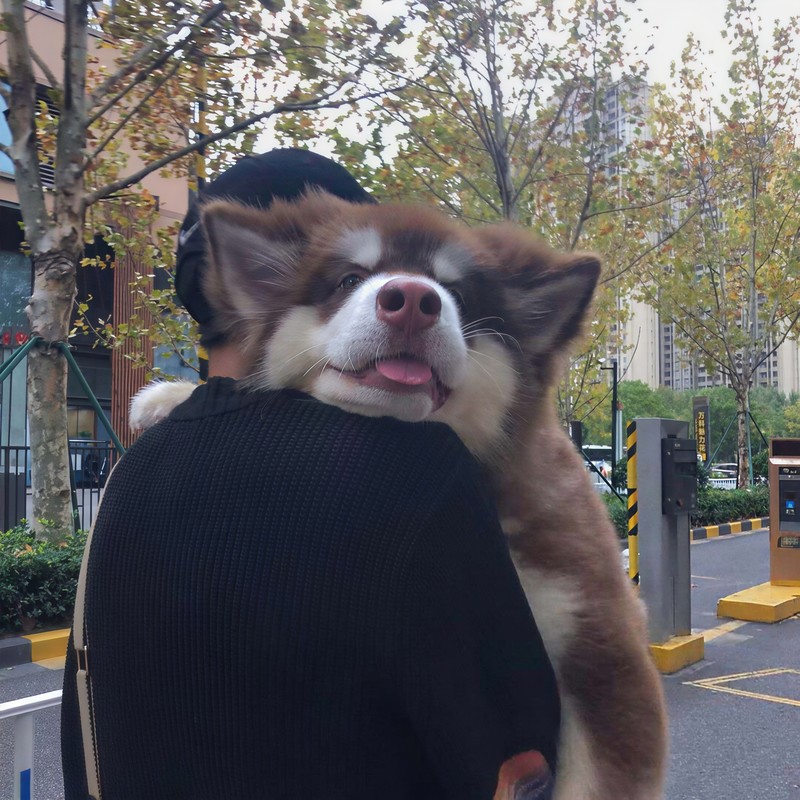 东西封面