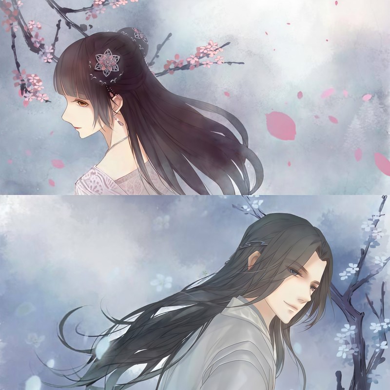 烟雨行舟封面
