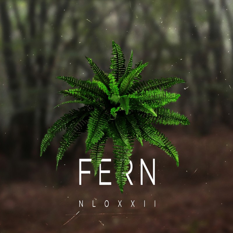 Fern封面