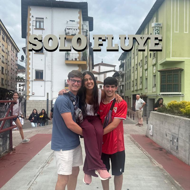 solofluye封面