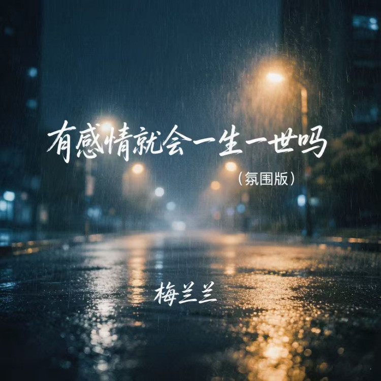 有感情就会一生一世吗封面